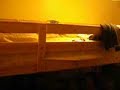 DK 4 a.m. wake up