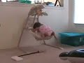 Roxy Falling Off Swing Roxy Falling Off Swing