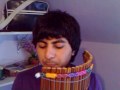 Panpipe Beatbox - Sandstorm Darude cover and Freestyle - Azeem