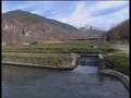 Aquaculture in Tuscany_Part 1