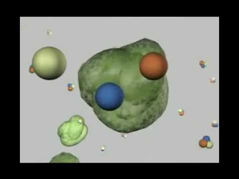 how to take virgin coconut oil for h-pylori