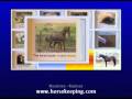 videos de DVD Preview: The Horse - El Caballo, A Journey for Kids, 101 Lessons