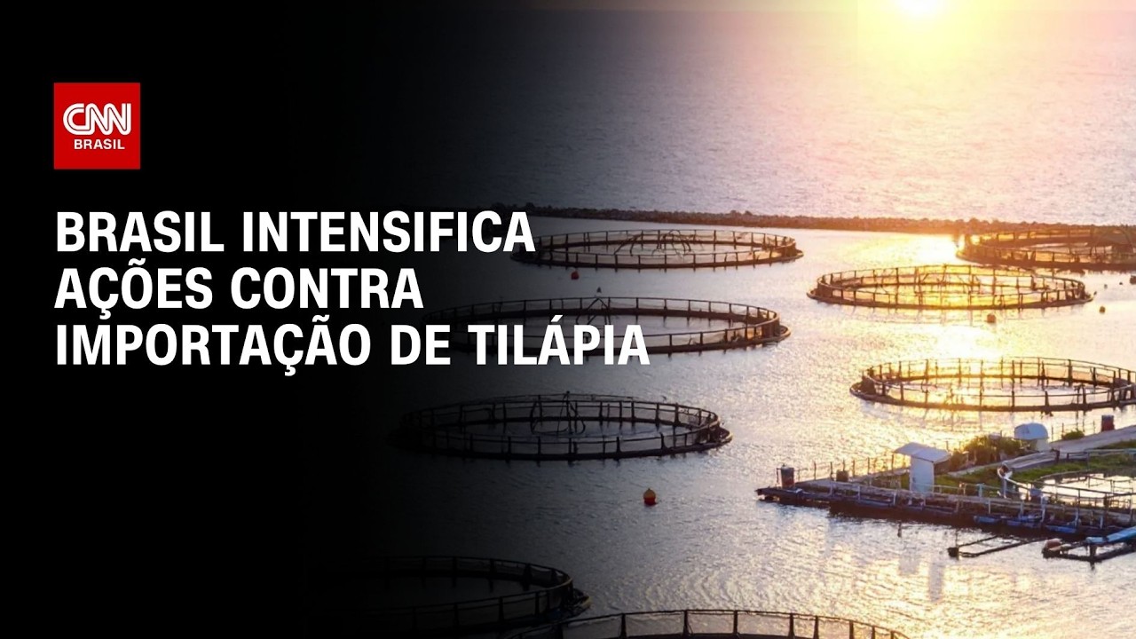 Brasil intensifica ações contra importação de tilápia | CNN AGRO NEWS