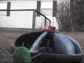 UFO video (Benthos)