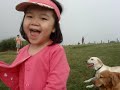 ??????????/Me,Golden Labrador Retrievers, playing at qing tian gang