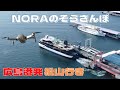 【DJI Mini2×GoPro】広島港発松山行き（広島ドローン空撮）