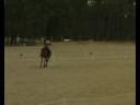 acra winter challenge freestyle acra winter challenge freestyle