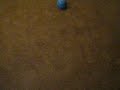 super soccer goal - foto 1