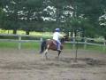 videos de Me and my horse blue pole weaving with barrels
