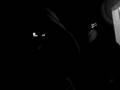 videos de The Shotgum Message Norma Jean Vocals
