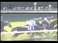 アドマイヤグルーヴ ２歳新馬戦