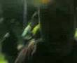 Pedazo de video
