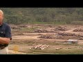 Corruption linked to Borneo deforestation - 15 Jul 09