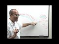 USMLE - Penicillin - Antibiotics 2/4
