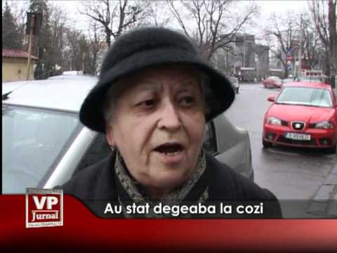 Au stat degeaba la cozi