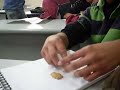 esmacdaw-se�or galleta vs gelleta field