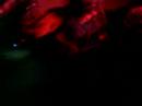 Sunflower Day Camp - Rock n Roll (live at Saguijo) Sunflower Day Camp - Rock n Roll (live at Saguijo)