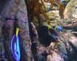 A Visit to Sydney Aquarium & Animal World