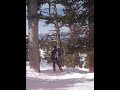 Heavely trees