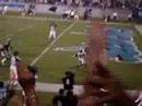 Touchdown From Delhomme to Colbert, preseason vs Patriots Touchdown From Delhomme to Colbert, preseason vs Patriots