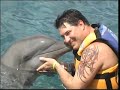 Parkins Dolphin Swim