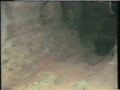 Castelo II - Exposi��o  Arqueologia