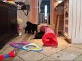 The Folsom Day Care Blues