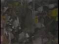 1985年・バース優勝までのHR51本