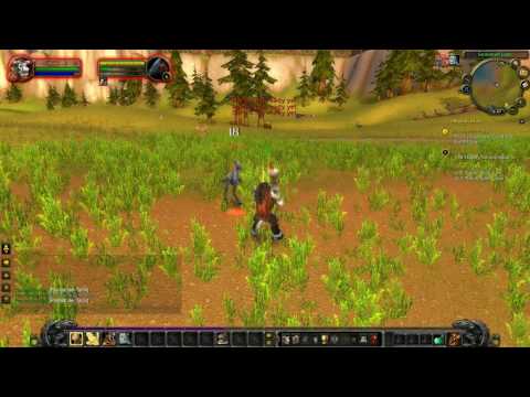 paladin
