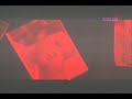 Bere-Gratis-Speranta