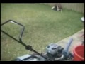 Stupid kid Stupid kid