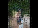 lolozinha - confia em mim
