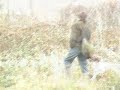 Billy - Spaniel Gundog Training