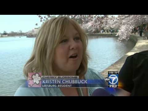 cherry car cherry car