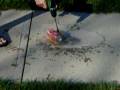 videos de Coke vs. Drill Pt. Two