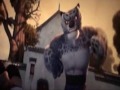 kung fu panda