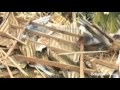 Philippines earthquake victims appeal for aid