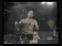 2008 Master of Disaster