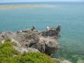 JAPAN Okinawa Urasoe  western seaside 沖縄　浦添西海岸