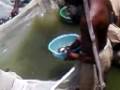 videos de Meesam urf malik haider