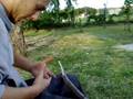 videos de cry masochista