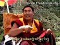 A touching Tibetan Song by Kunga (Nying je Dhundro) A touching Tibetan Song by Kunga (Nying je Dhundro)