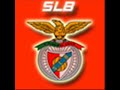 My Youtube Image