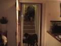 The Art of Stair Climbing