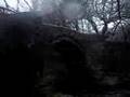 Holne bridge Jump