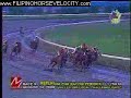 2008 PERIDOT I won by LA TIENNE 2008 PERIDOT I won by LA TIENNE