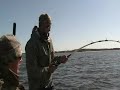 Sturgeon Excursion 2008