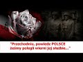 Rozkwitały pąki białych róż