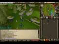 Runescape Money Making Guide