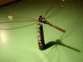 Homopolar Dragonfly